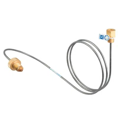 obraz dla Pigtail