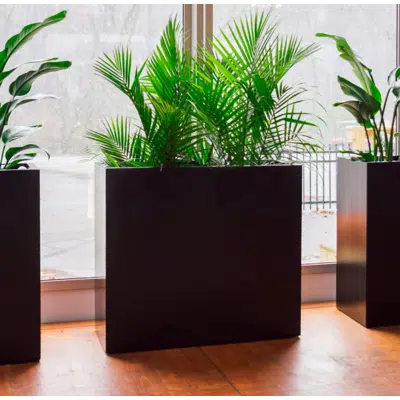 imazhi i Potsdam Large Rectangular Planter Boxes