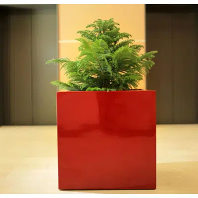 Montroy Cube Square Planter Boxes图像