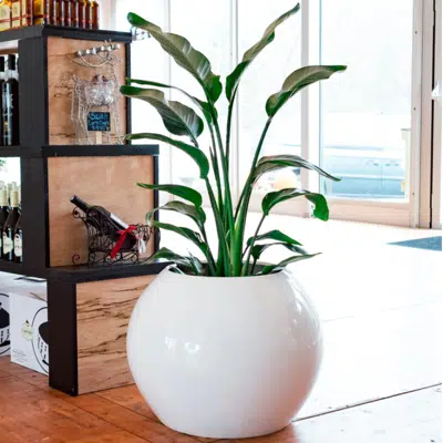 imagem para Globe Spherical Planter Pot