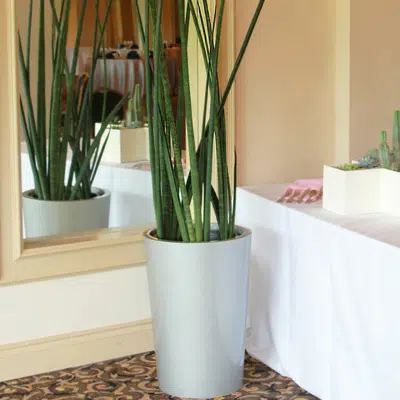 imazhi i Tegel Tapered Round Planter Pot