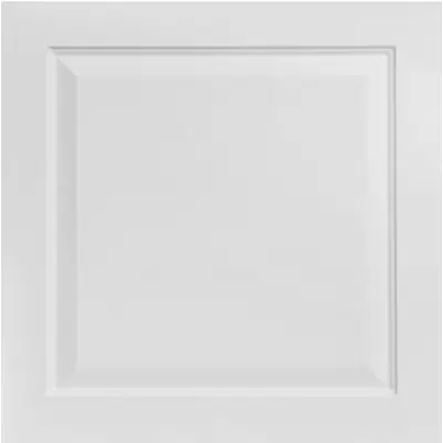 obraz dla Raised Panel - Faux Tin Drop Ceiling Tile - #505