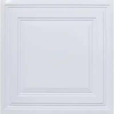 obraz dla Economy 2 ft. x 2 ft. PVC Lay-in Ceiling Tile Packs - #232