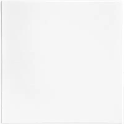 obraz dla Nancy 24 in. x 24 in. Revealed Edge Smooth Lay-in Ceiling Tile