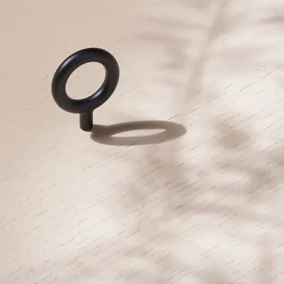 obraz dla Knob Key