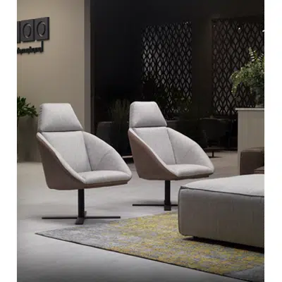 画像 Caiman Armchair