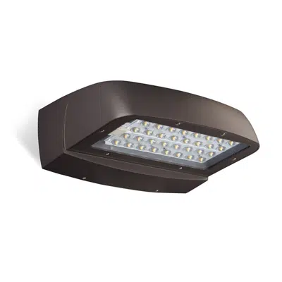 LytePro 32 LED Wall Sconce Gen3图像