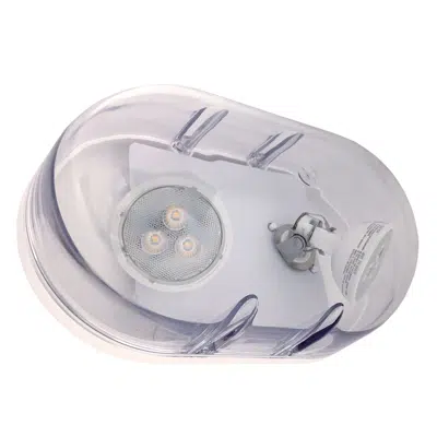 billede til TruPath TPR LED Remote Unit