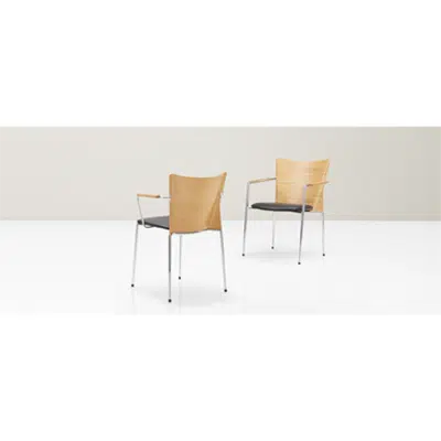 bilde for Dome Chair