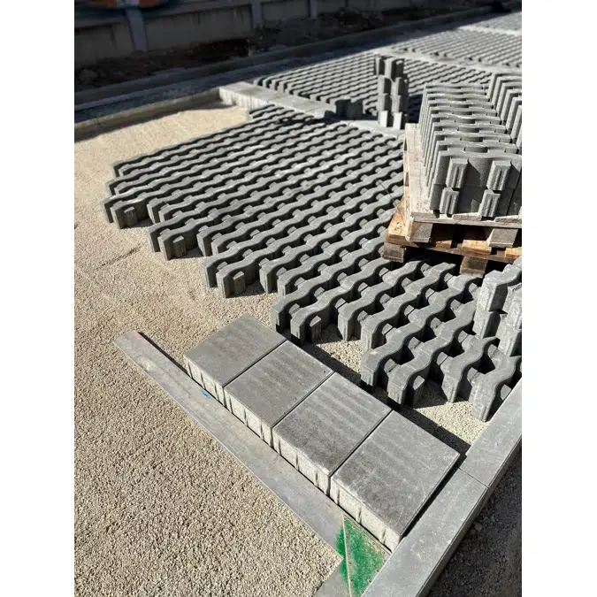 LP-Curve Rasenstein