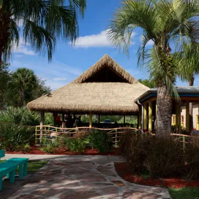 Bali Series Thatched Roofs图像