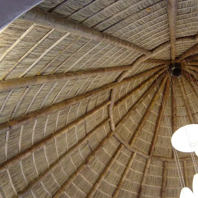 Bali Series Thatched Roofs