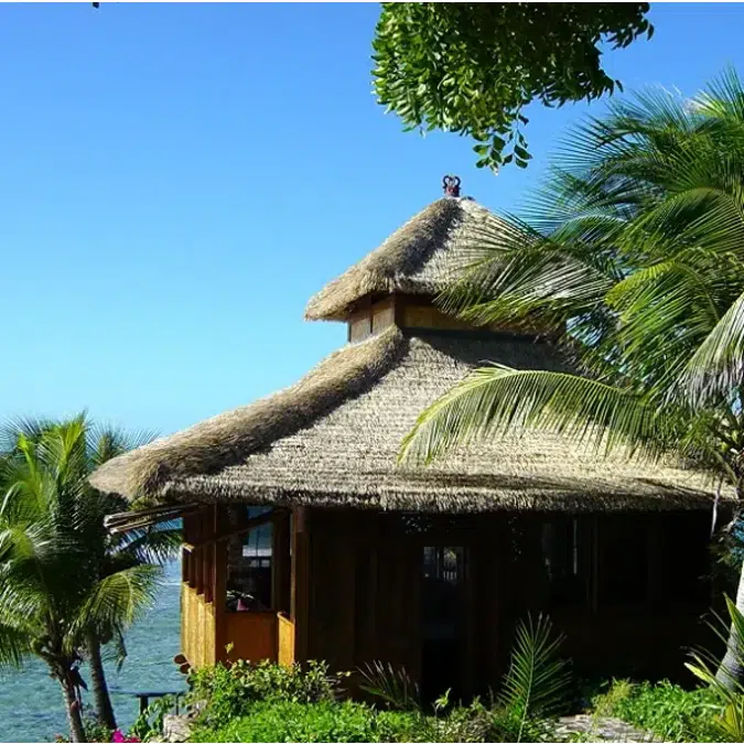 Premium Bali Series Thatched Roofs