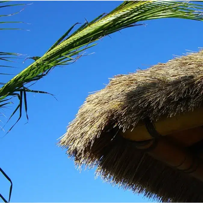 Premium Bali Series Thatched Roofs