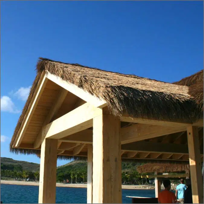 Capetown Series Thatched Roofs