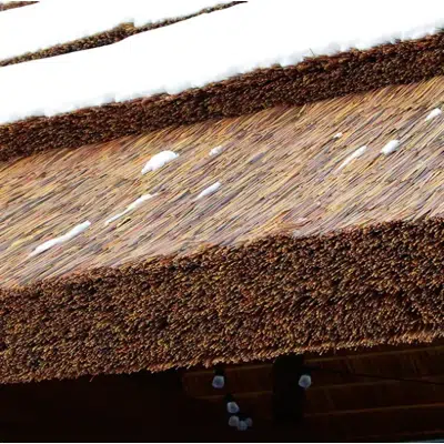 Image for Premium Capetown Series Thatched Roofs