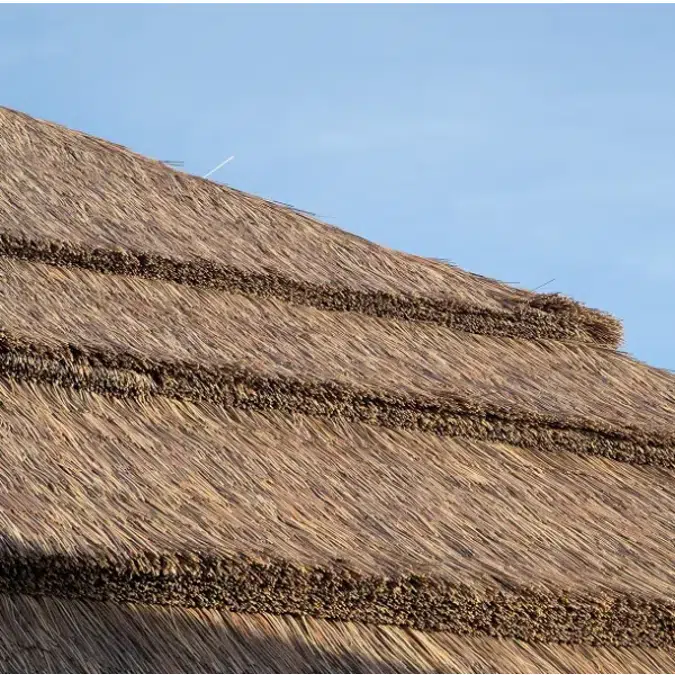 Premium Capetown Series Thatched Roofs