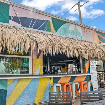 Image for Performance Palm Thatched Roofs