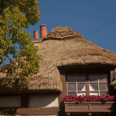 Somerset Series Thatched Roofs图像