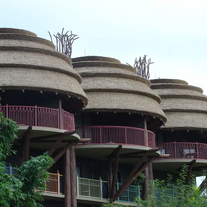 Somerset Series Thatched Roofs