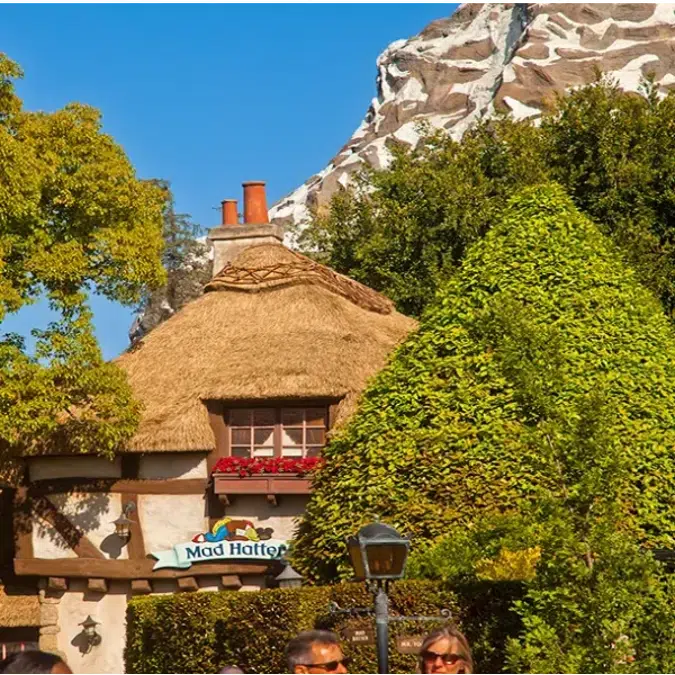 Premium Somerset Series Thatched Roofs