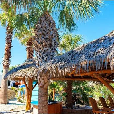 รูปภาพสำหรับ Basics Palm Thatched Roofs