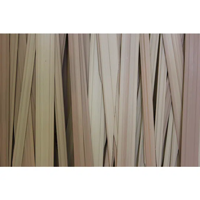 Dominica Series Thatched Roofs