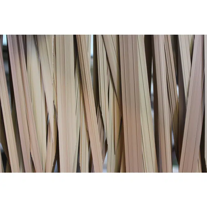 Dominica Series Thatched Roofs