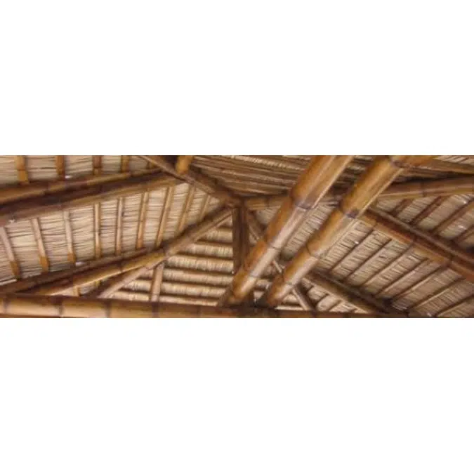 Dominica Series Thatched Roofs