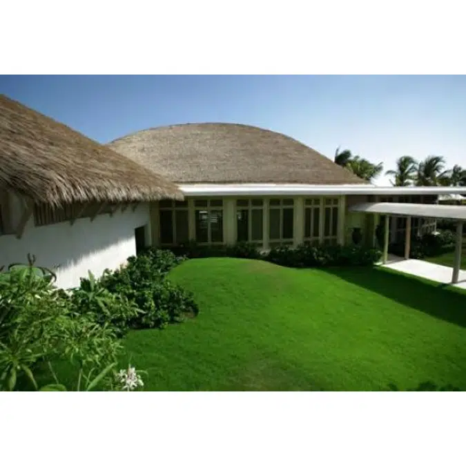 Dominica Series Thatched Roofs