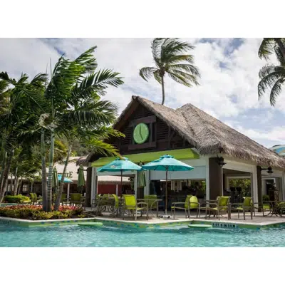 Image for Premium Dominica Series Thatched Roofs