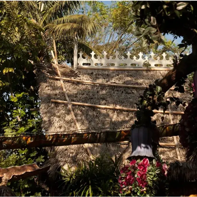 Premium Dominica Series Thatched Roofs