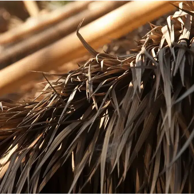 Premium Dominica Series Thatched Roofs