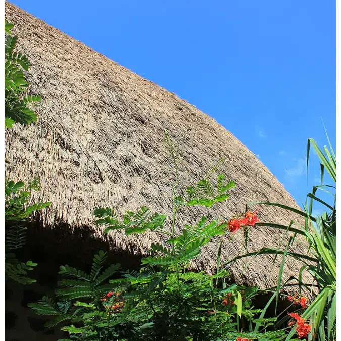 Premium Kona Series Thatched Roofs