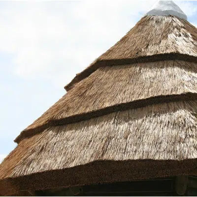 Image for Performance Reed Thatched Roofs