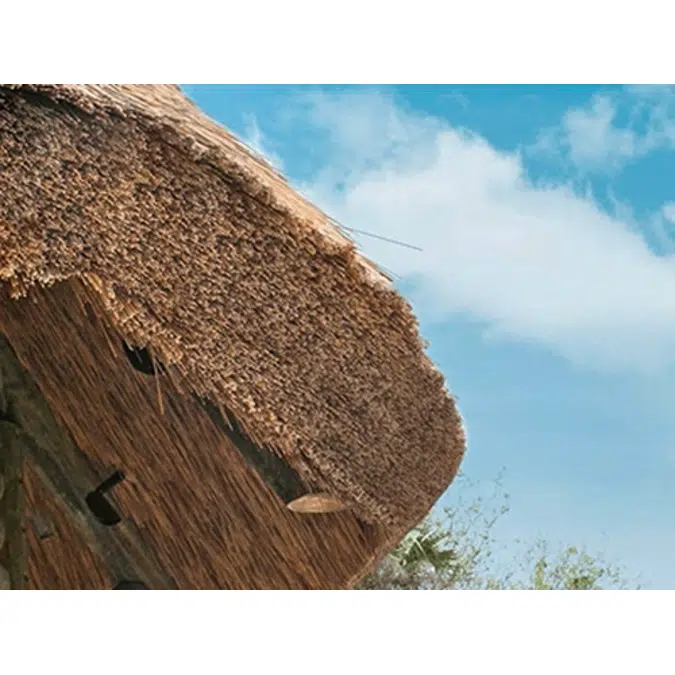 Performance Reed Thatched Roofs