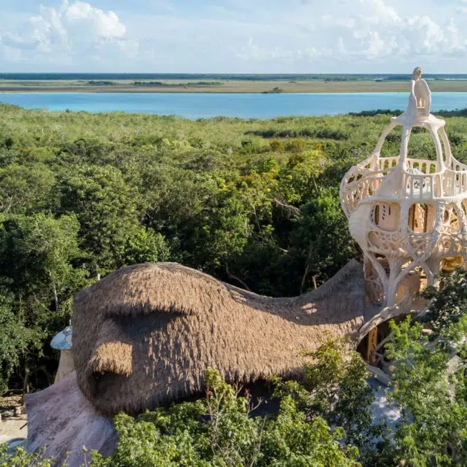 Viva - Weathered Palm Series Thatched Roofs