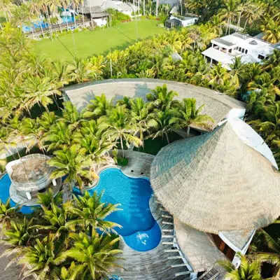 Viva - New-Palm Series Thatched Roofs图像