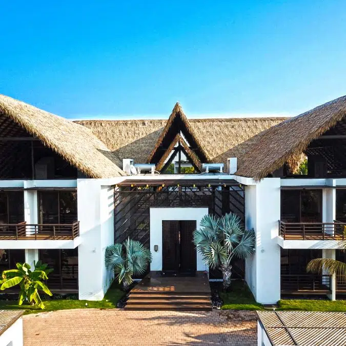 Viva - New-Palm Series Thatched Roofs