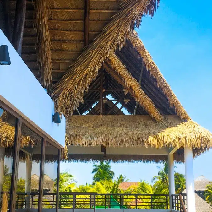 Viva - New-Palm Series Thatched Roofs