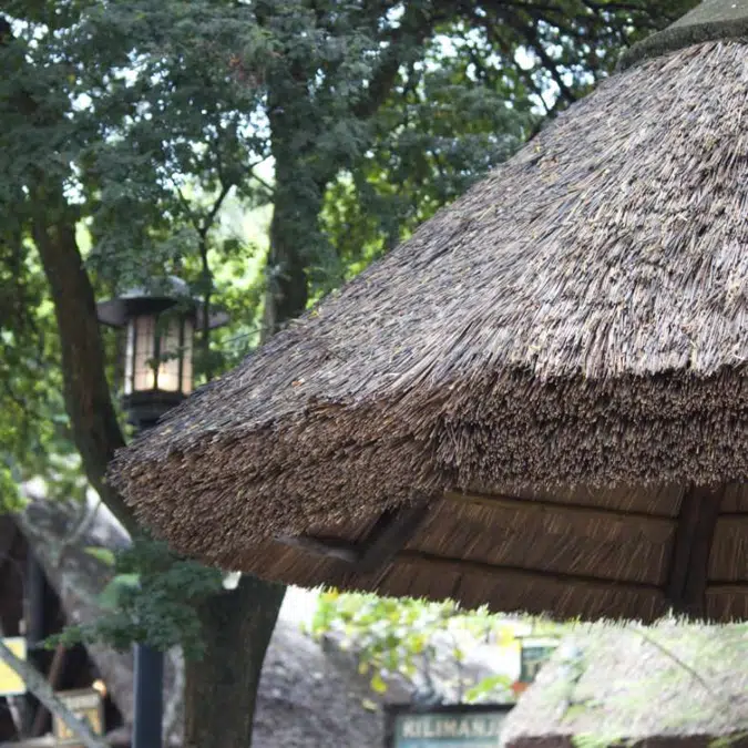 Kilimanjaro Series Thatched Roofs