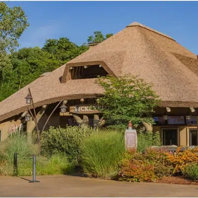 Image for Premium Kilimanjaro Series Thatched Roofs