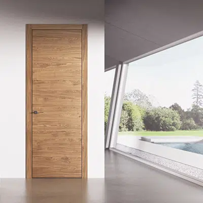 Image for TN PLUS hinged door (flush pulling)