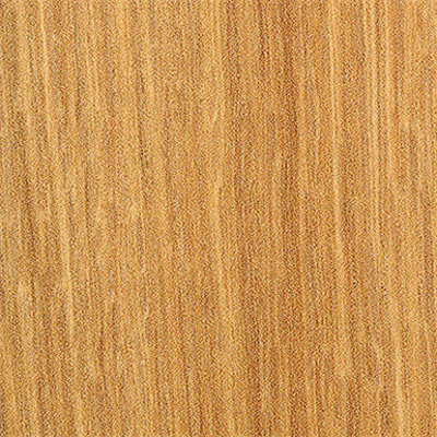 Image for Steni Vision SV 10003