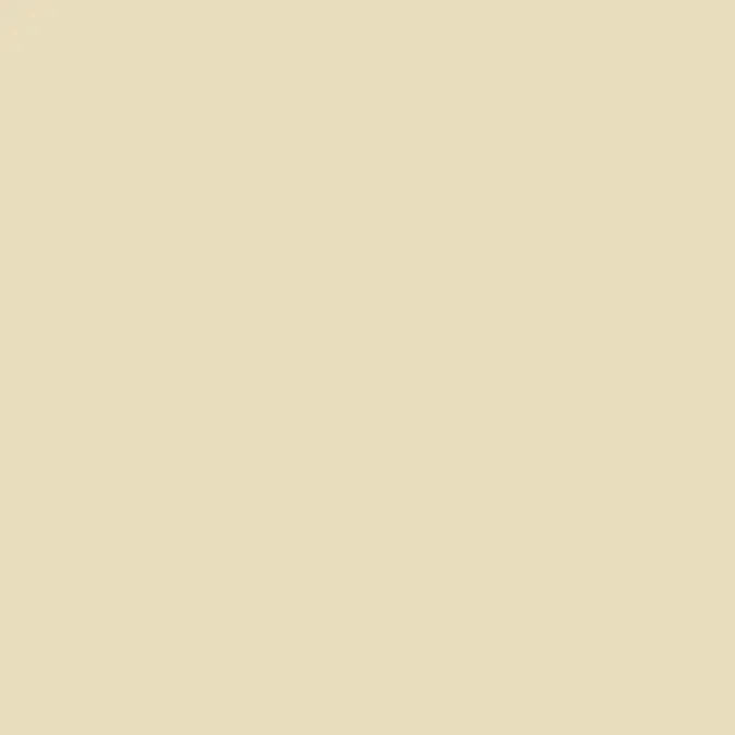 Steni Colour SN 9505