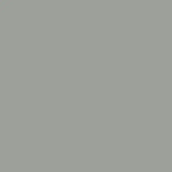 Steni Colour SN 8661