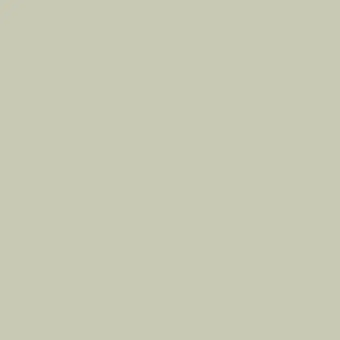 Steni Colour SN 9536