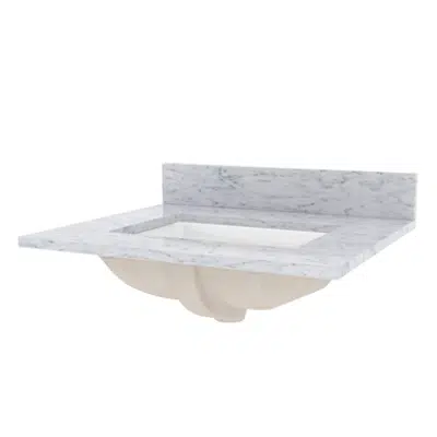 Foremost Carrara White 25in Marble Vanity Top图像