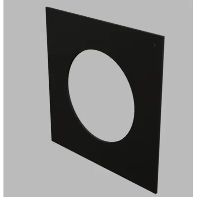Image for 10" PPs Wall Plate Black