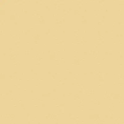 Bild für Trespa® Toplab® Vertical Uni Colours K0512 Champagne- Satin Interior panels